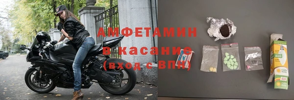 шишки Богородицк