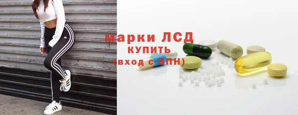 таблы Болотное