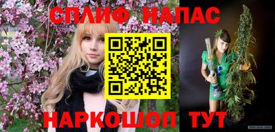 мяу мяу мука Кандалакша
