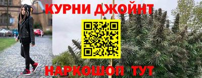 ГАЛЛЮЦИНОГЕННЫЕ ГРИБЫ Камышлов