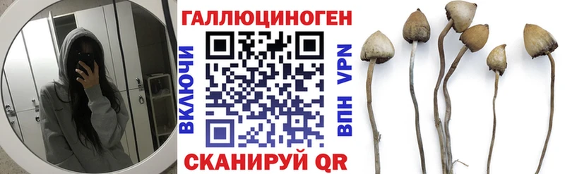 Галлюциногенные грибы MAGIC MUSHROOMS  Приморско-Ахтарск 