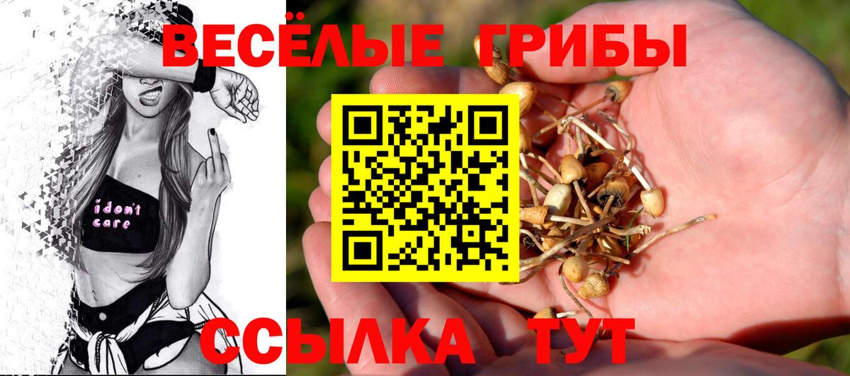 Псилоцибиновые грибы Psilocybine cubensis  Вход с VPN  Приморско-Ахтарск 